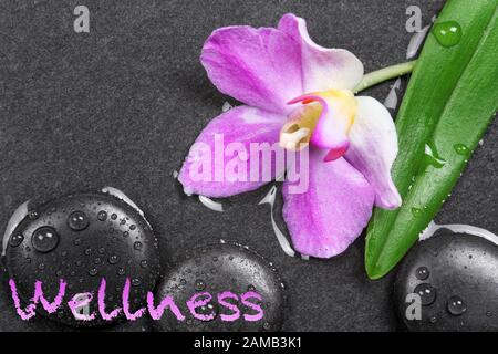 Hot stones with orchid on slate Stock Photo
