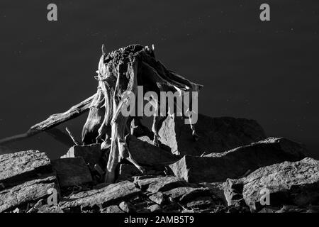 A classic image of a low lying sun highlighted dead tree trunk, without bark, embedded among large stones at the waters edge Stock Photo