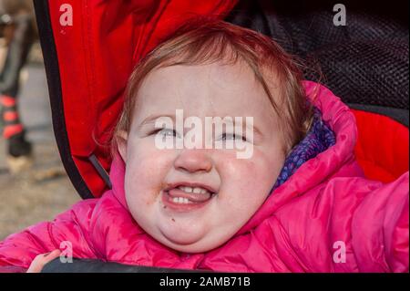 Butlerstown, West Cork, Ireland. 12th Jan, 2020. The annual Carberry Hunt Butlerstown Fun Ride took place today with hundreds of horses and riders taking part. Watching the ride was Millie Wilson from Bandon. Credit: Andy Gibson/Alamy Live News Stock Photo