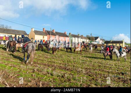 Butlerstown, West Cork, Ireland. 12th Jan, 2020. The annual Carberry Hunt Butlerstown Fun Ride took place today with hundreds of horses and riders taking part. Credit: Andy Gibson/Alamy Live News Stock Photo