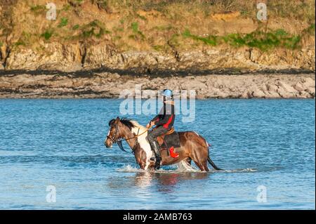 Butlerstown, West Cork, Ireland. 12th Jan, 2020. The annual Carberry Hunt Butlerstown Fun Ride took place today with hundreds of horses and riders taking part. The horses have fun on the beach at Broadstrand. Credit: Andy Gibson/Alamy Live News Stock Photo