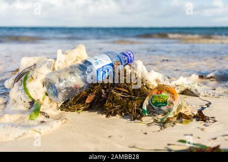 A discarded plastic bottle lying on seaweed on a sandy beach Stock Photo