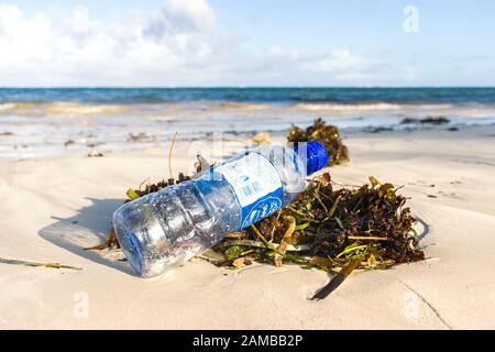 A discarded plastic bottle lying on seaweed on a sandy beach Stock Photo