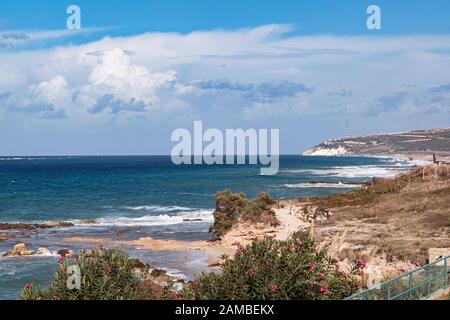 the white chalk cliffs of rosh hanikra viewed from akhziv national park in israel with flowering oleander in the foreground Stock Photo