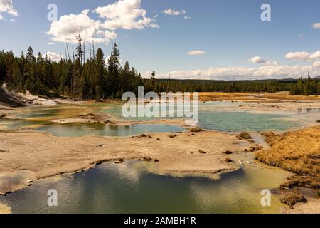 Landschaft im Norris Geyser Basin Yellowstone Nationalpark Stock Photo