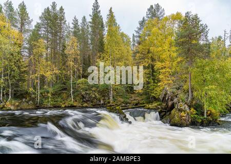 Cliff, stone wall, forest, waterfall and wild river panoramic view in autumn. Fall colors - ruska time in Myllykoski. Karhunkierros Trail, Oulanka Nat Stock Photo