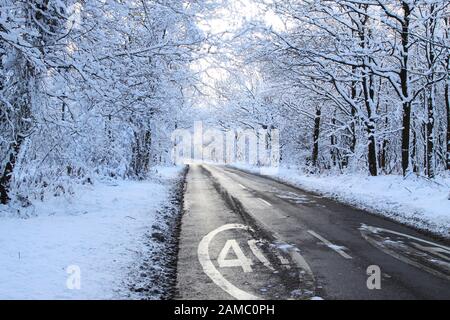 Ashdown Forest in midwinter after a heavy snowfall Stock Photo