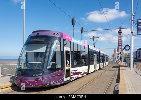 Blackpool Tramway at tram stop, Ocean Boulevard, Promenade, Blackpool, Lancashire, England, United Kingdom Stock Photo