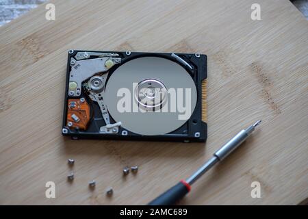 Close-up on a hard notebook disk drive. Opened disk drive with screwdriver on a wooden table. Stock Photo