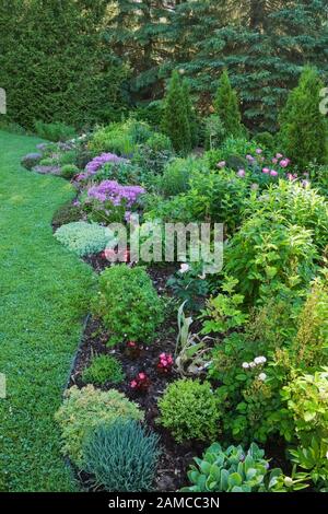 Manicured green grass lawn and border planted with various plants, shrubs and flowers incuding pink Armeria martima 'Sea Thrift', red Begonias. Stock Photo