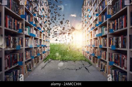 New hidden world behind the library. Books open the mind for imagination Stock Photo