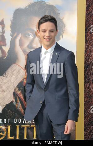 Los Angeles, USA. 11th Jan, 2020. Harry Collett 01/11/2020 The Premiere of 'Dolittle' held at The Regency Village Theatre in Los Angeles, CA Credit: Cronos/Alamy Live News Stock Photo