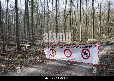 Durchforstung im Naturpark Kottenforst-Ville - Sperrung eines Forstweges, Brühl, Nordrhein-Westfalen, Deutschland Stock Photo