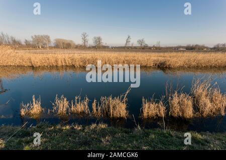 Main Channel of the Danube valley near Szabadszallas in Hungary. Stock Photo