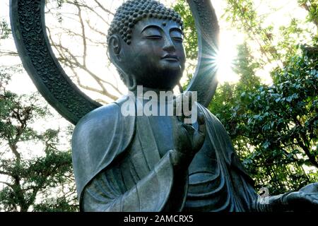 detail-of-the-buddha-statue-in