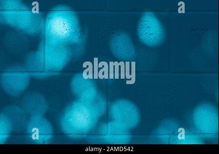 Blue painted concrete wall with shadow from the tree. Stock Photo