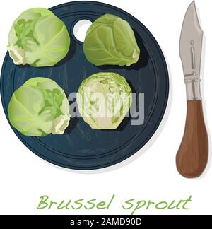 A pile of Brussels sprouts on the dish vector illustration. White background. Stock Vector