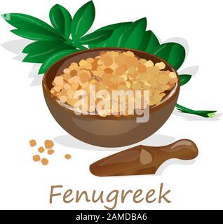 Methi, fenugreek seeds vector illustration on white background. isolated image. Stock Vector