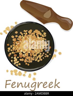 Methi, fenugreek seeds vector illustration on white background. isolated image. Stock Vector