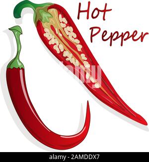 Closeup view pepper on white background, raw food ingredient concept. Hand made vector illustration. Stock Vector