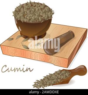 Cumin (Zira) seeds seasoning for meals and soups on a white background vector illustration. Stock Vector