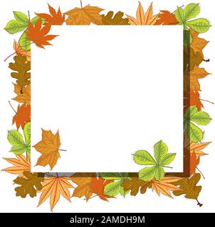 Vector illustration of autumn composition. Frame made of colorfull dried leaves. Autumn, fall concept.Top view,  Flat lay. Stock Vector