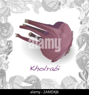 Kohlrabi German turnip illustration isolated on white. Vector image. Stock Vector