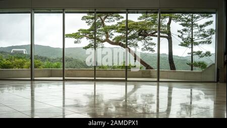 View through approach tunnel towards Miho Museum in Japan Stock Photo -  Alamy