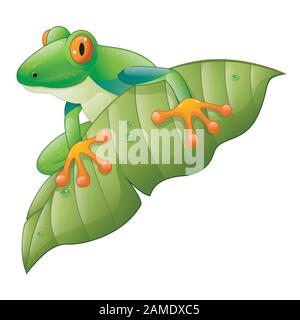 Cartoon red-Eyed Amazon Tree Frog on green leaf Stock Vector