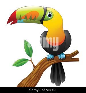Toucan cartoon sitting on the branch Stock Vector
