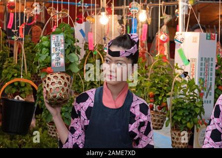 Woman selling Alkekengi flowers in Tokyo, Japan, Asia. Traditional Japanese market held in Asakusa around Senso-ji temple every year on 9 and 10 July Stock Photo