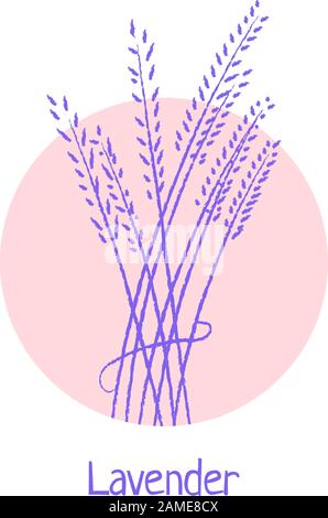 hand drawn lavender logo isolated on white Stock Vector