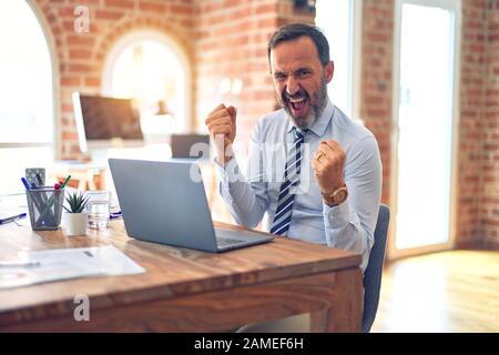 Middle age handsome businessman wearing tie sitting using laptop at the office very happy and excited doing winner gesture with arms raised, smiling a Stock Photo