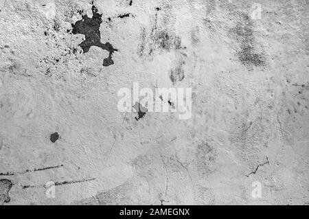 Light gray wall texture. Grunge background Stock Photo