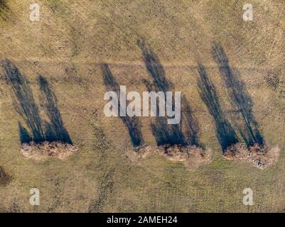 Aerial winter picture over trees with shadows in sunset light Stock Photo