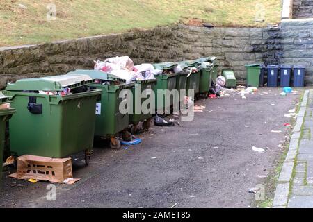 Multiple large wheelie bins overflowing full of rubbish waiting for collection Stock Photo