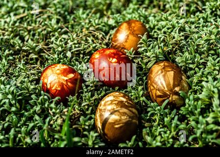 Multicolored easter eggs in green grass. Easter concept - image Stock Photo