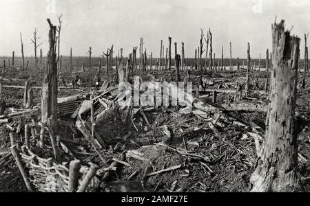 View of the devastated Chateau Wood and Bellewaarde Lake, in the Ypres Salient in Belgium. October 1917 Stock Photo