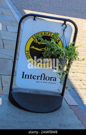 A sign for an Interflora florists shop on the pavement, Lichfield, Staffordshire, England, United Kingdom Stock Photo