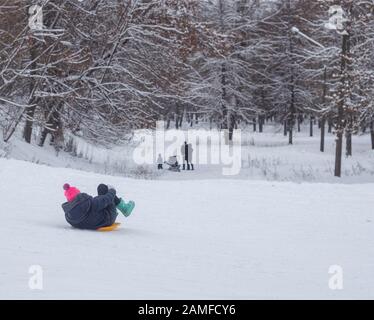 A lot of people children and adults ride a sled in the winter in the snow, gladness. BOBRUISK, BELARUS - 03.01.19 Stock Photo