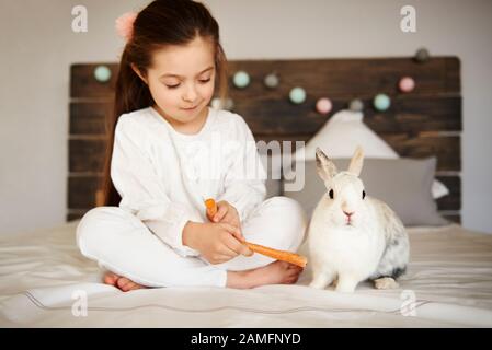 Girl feeding her rabbit on the bed Stock Photo