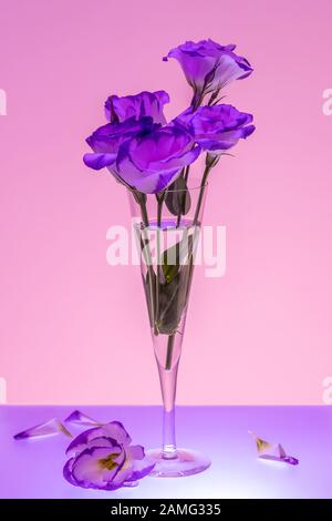 Violet and pink colored picture of flowers in a champagne flute Stock Photo