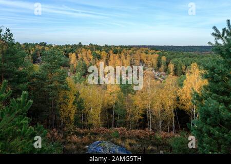 クロード・モネ、Road in the Forest of Fontainebl The forest