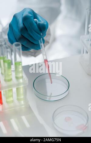 cropped view of scientist in latex glove doing dna test in lab Stock Photo