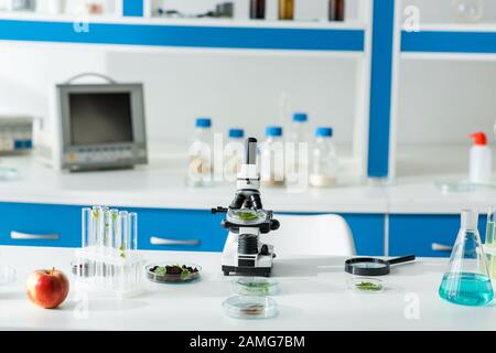 microscope, test tubes, leaves, magnifying glass and apple on table in lab Stock Photo