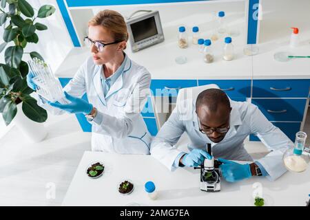 high angle view of biologist looking at test tubes and african american colleague using microscope Stock Photo