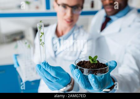 selective focus of multicultural biologists looking at leaves in lab Stock Photo