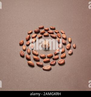 Round frame from organic cocoa beans and cocoa mass in the middle on a brown background with soft shadows, copy space. Stock Photo