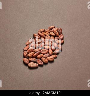 Freshly dried natural cocoa peas in the shape of big bean on a brown background with soft shadows, copy space. Stock Photo