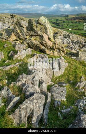 The Norber erratics, glacial erratic boulders on the southern slopes of Ingleborough, Yorkshire Dales National Park, England Stock Photo